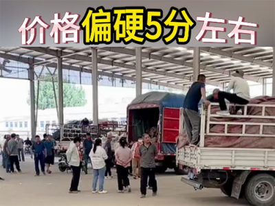 6月27日下午安丘黑埠子市場(chǎng)（偏硬5分） (63播放)
