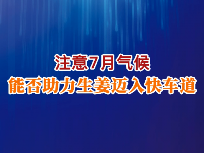 注意7月氣候 能否助力生姜進(jìn)入快車(chē)道 ()