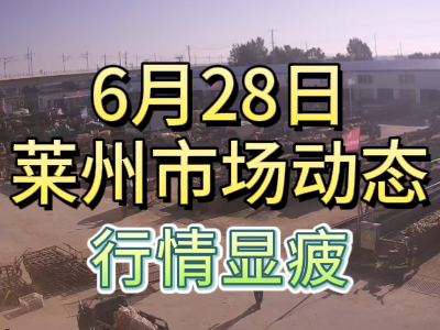 6月28日 萊州生姜交易實(shí)況（行情顯疲） (62播放)