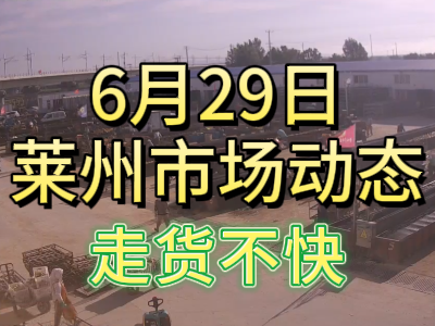 6月29日 萊州生姜交易實(shí)況（走貨不快） (65播放)