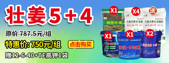 壯姜5+4
