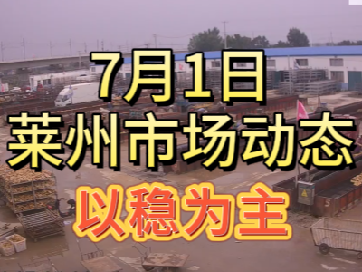 7月1日 萊州生姜交易實(shí)況（以穩(wěn)為主） (107播放)