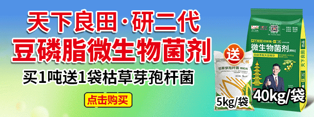 10億豆磷脂1噸