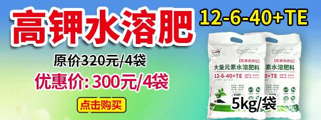 高鉀水溶肥12-6-40+TE