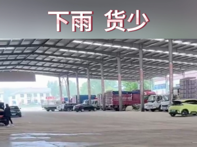 7月2日下午安丘黑埠子市場（下雨貨少） (89播放)