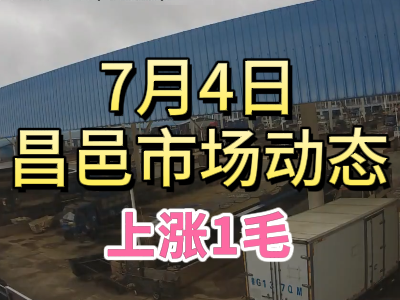 7月4日 琨福市場大姜價格（上漲1毛） (141播放)