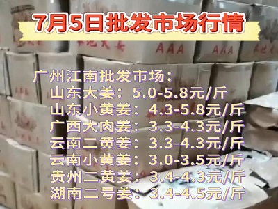 7月5日廣州江南批發市場生姜價格行情 (102播放)