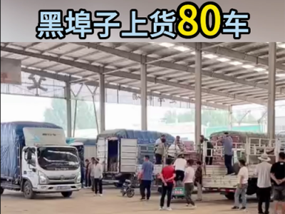 7月5日下午安丘黑埠子市場（爆滿） (65播放)