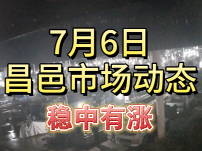 7月6日 琨福市場大姜價格（穩中有漲） (101播放)