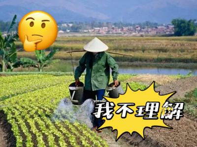 下了雨為什么還要澆水？ ()