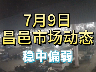7月9日 琨福市場大姜價格（穩中偏弱） (94播放)