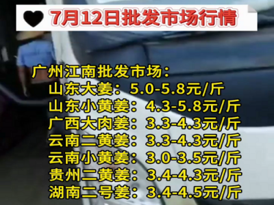 7月12日廣州江南批發市場生姜價格行情 (91播放)