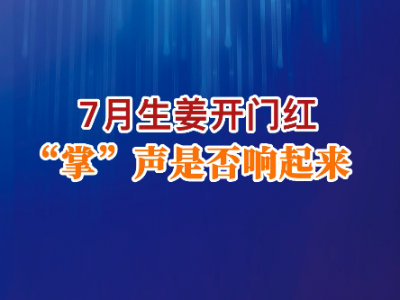 7月生姜開(kāi)門(mén)紅“掌”聲是響響起來(lái)？ ()