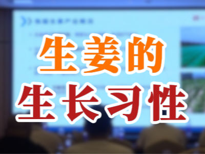 生姜的生長(zhǎng)習(xí)性 ()