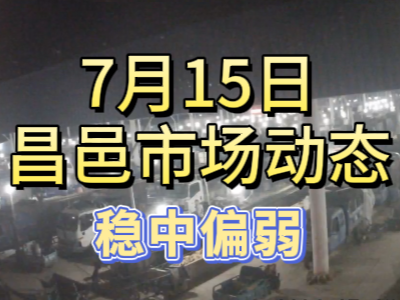 7月15日 琨福市場大姜價格（穩中偏弱） (141播放)