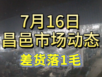 7月16日 琨福市場大姜價格（差貨落1毛） (151播放)