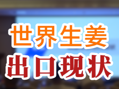 世界生姜出口現(xiàn)狀 (150播放)