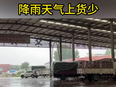 7月16日下午安丘黑埠子市場（下雨貨少） (121播放)