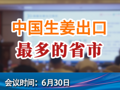 中國(guó)生姜出口最多的省 (144播放)