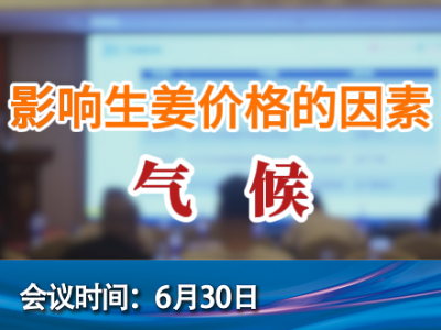 影響生姜價(jià)格的因素--氣候 (129播放)