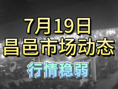 7月19日 琨福市場(chǎng)大姜價(jià)格（行情穩(wěn)弱） (102播放)