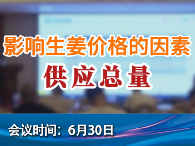 影響生姜價(jià)格的因素--供應(yīng)總量 (137播放)