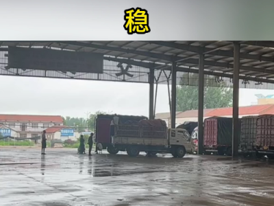7月20日下午安丘黑埠子市場（下雨貨少） (122播放)