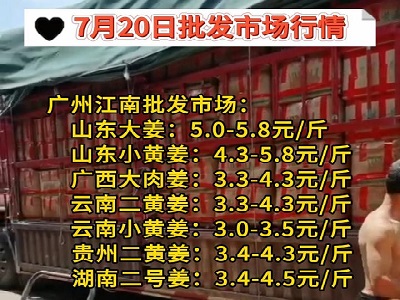 7月20日廣州江南批發(fā)市場(chǎng)生姜價(jià)格行情 (143播放)