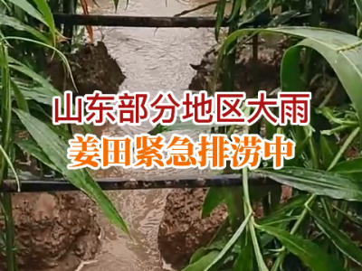 山東部分地區大雨 姜田緊急排澇中... (51播放)