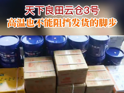 天下良田云倉3號 高溫也不能阻擋發(fā)貨的腳步 ()
