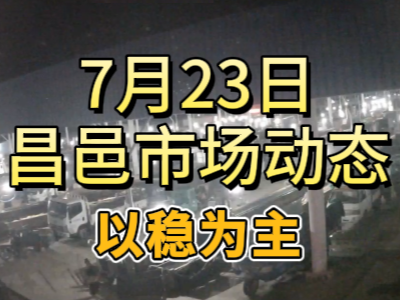 7月23日 琨福市場(chǎng)大姜價(jià)格（以穩(wěn)為主） (102播放)