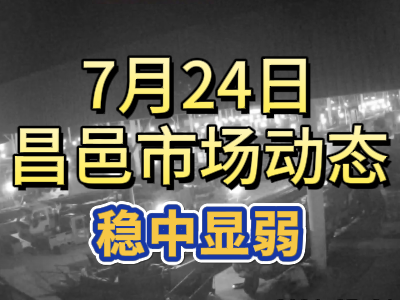 7月24日 琨福市場(chǎng)大姜價(jià)格（穩(wěn)中顯弱） (109播放)