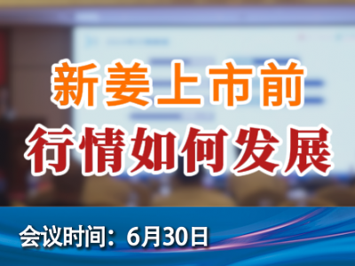 新姜上市前 行情如何發(fā)展 (111播放)