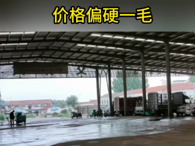 7月27日下午安丘黑埠子市場（下雨價硬） (136播放)