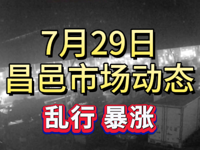 7月29日 琨福市場大姜價格（亂行 暴漲） (141播放)