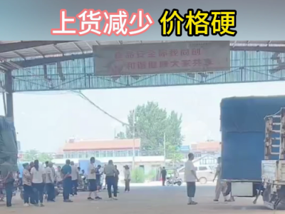 7月30日下午安丘黑埠子市場（貨少價硬） (171播放)