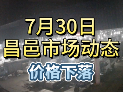 7月30日 琨福市場大姜價格（價格下落） (156播放)