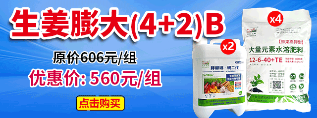 生姜膨大(4+2)B