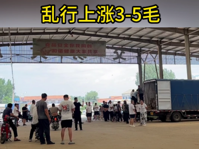 7月31日下午安丘黑埠子市場（暴漲3-5毛） (199播放)