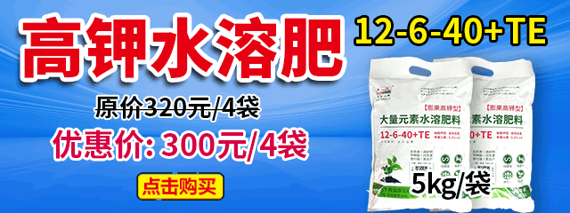 高鉀水溶肥12-6-40+TE