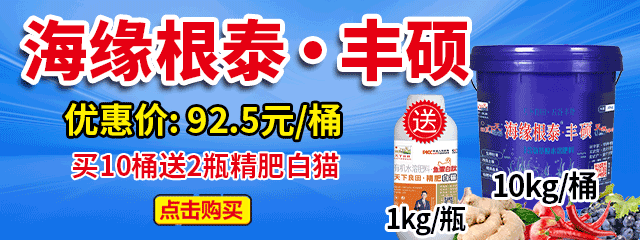 海緣根泰•豐碩