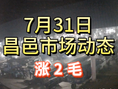 7月31日 琨福市場大姜價格（漲2毛） (144播放)