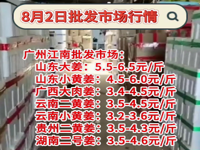 8月2日廣州江南批發(fā)市場(chǎng)生姜價(jià)格行情 (236播放)