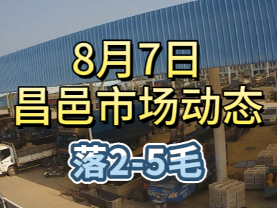 8月7日 琨福市場大姜價格（落2-5毛） (174播放)