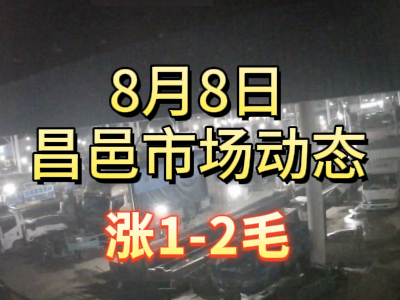 8月8日 琨福市場大姜價格（漲1-2毛） (177播放)