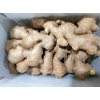優(yōu)質(zhì)生姜加工出口 Ginger exporter