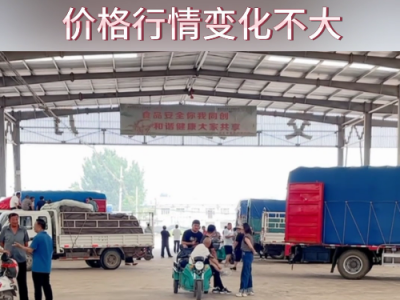 8月9日下午安丘黑埠子市場(chǎng)（平穩(wěn)） (191播放)