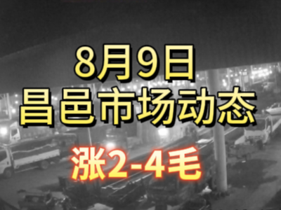 8月9日 琨福市場大姜價格（漲2-4毛） (188播放)