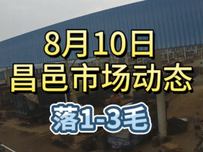 8月10日 琨福市場大姜價格（落1-3毛） (198播放)