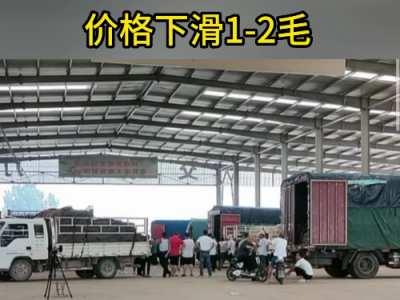 8月10日下午安丘黑埠子市場(chǎng)（落1-2毛） (208播放)